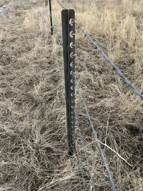 70042098764__24EDE3AD-C211-404D-AFE6-4D6B0E946E14-1-rotated.jpeg (1)